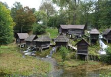 The Art of Cooking in Byzantine Times