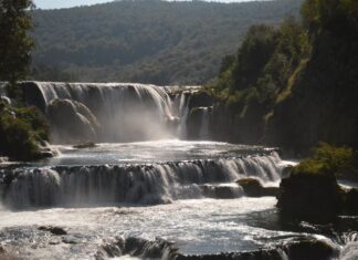 Ceremonies in the Suburbs of Constantinople